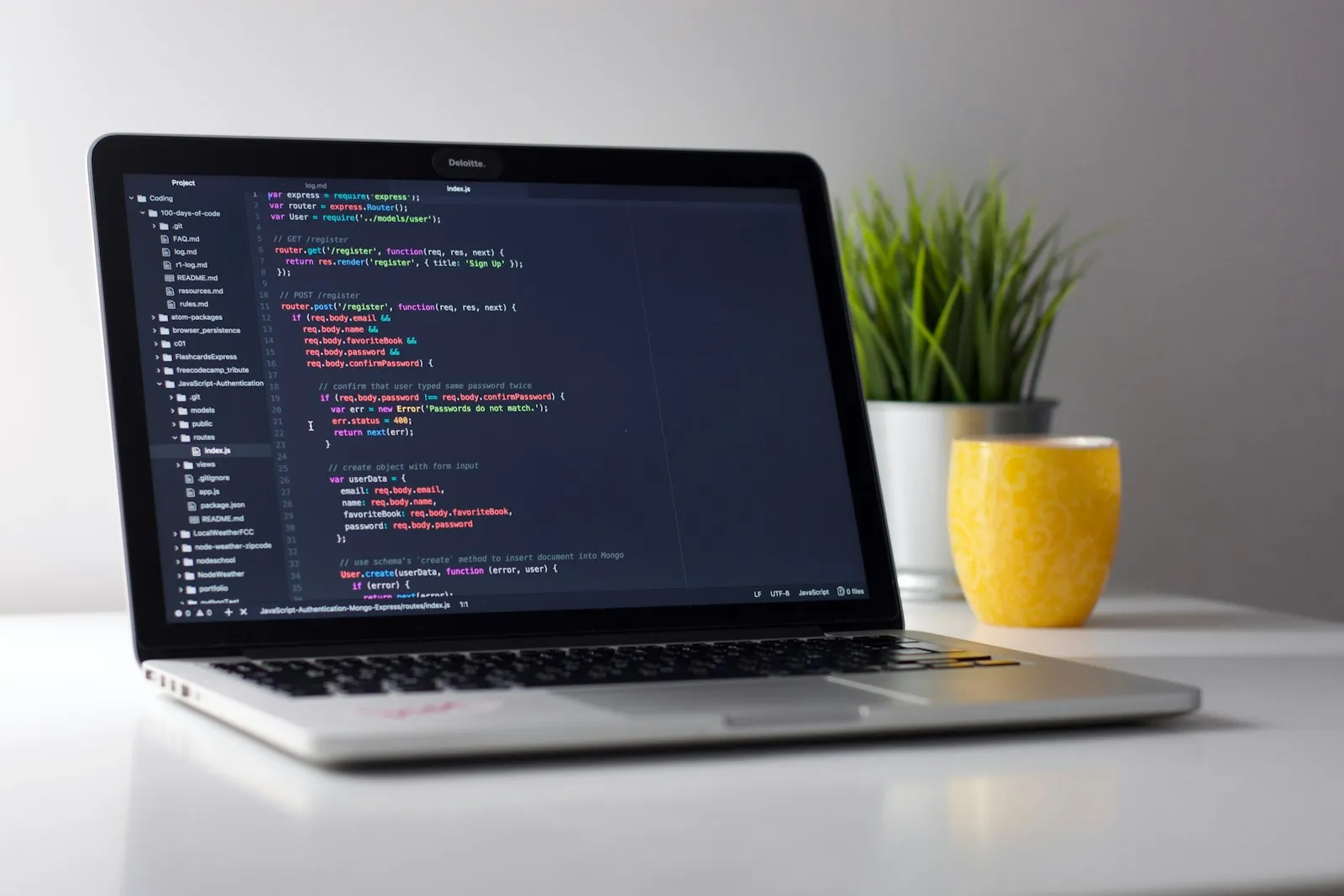 From beginner to job-ready developer: a realistic 6-month roadmap